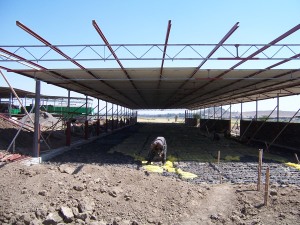 A chicken nursery under construction